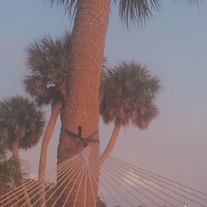 Meet your Posher, Kalin